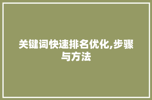 关键词快速排名优化,步骤与方法