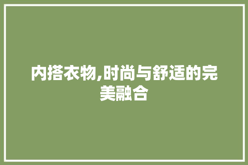 内搭衣物,时尚与舒适的完美融合