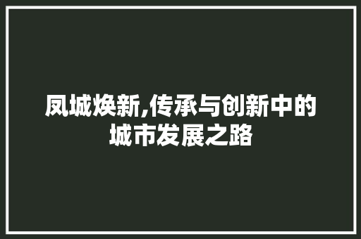 凤城焕新,传承与创新中的城市发展之路