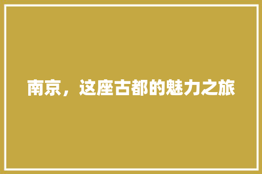 南京，这座古都的魅力之旅