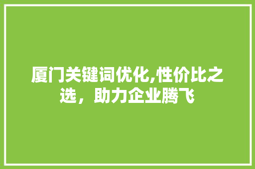 厦门关键词优化,性价比之选，助力企业腾飞