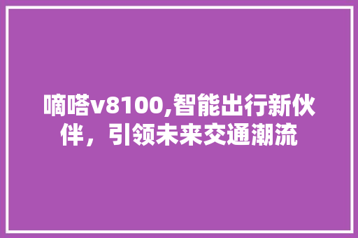 嘀嗒v8100,智能出行新伙伴，引领未来交通潮流