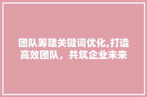 团队筹建关键词优化,打造高效团队，共筑企业未来