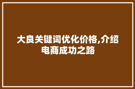 大良关键词优化价格,介绍电商成功之路