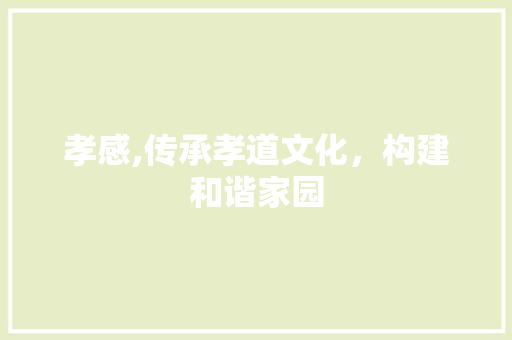孝感,传承孝道文化，构建和谐家园