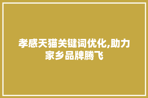 孝感天猫关键词优化,助力家乡品牌腾飞
