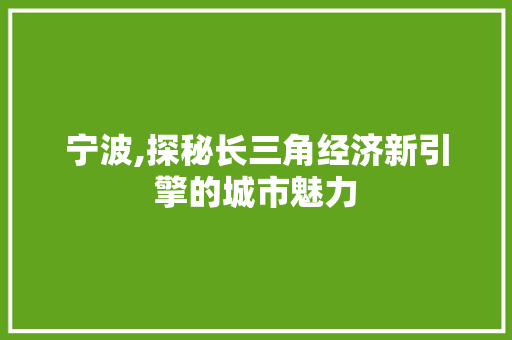 宁波,探秘长三角经济新引擎的城市魅力