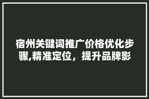 宿州关键词推广价格优化步骤,精准定位,提升品牌影响力 宿州关键词推广价格优化步骤,精准定位,提升品牌影响力