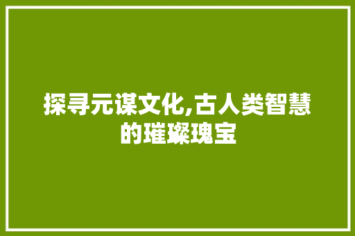 探寻元谋文化,古人类智慧的璀璨瑰宝