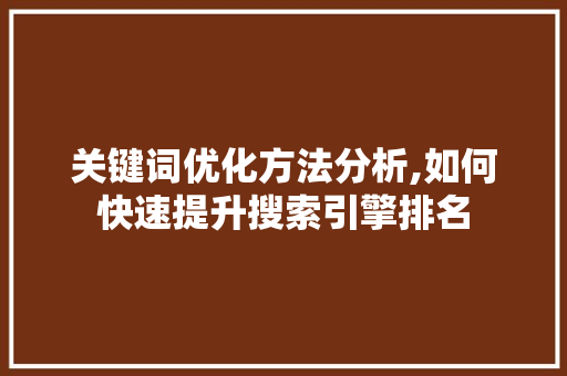 关键词优化方法分析,如何快速提升搜索引擎排名