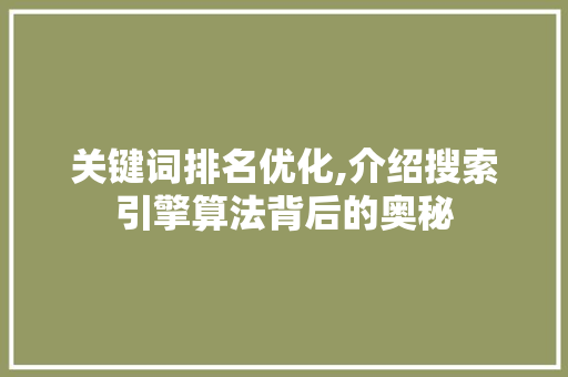 关键词排名优化,介绍搜索引擎算法背后的奥秘 电脑配置