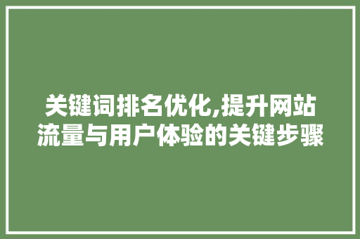 关键词排名优化,提升网站流量与用户体验的关键步骤