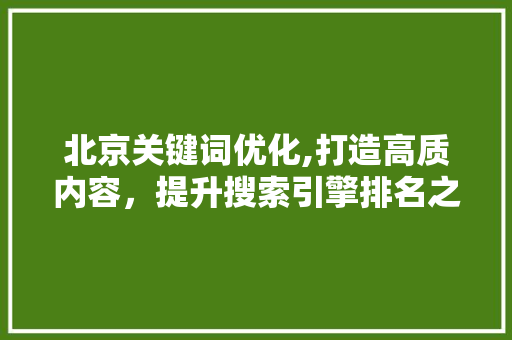 北京关键词优化,打造高质内容,提升搜索引擎排名之路 北京关键词优化,打造高质内容,提升搜索引擎排名之路