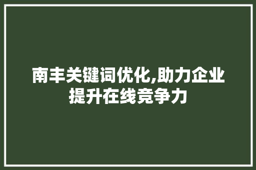 南丰关键词优化,助力企业提升在线竞争力 南丰关键词优化,助力企业提升在线竞争力