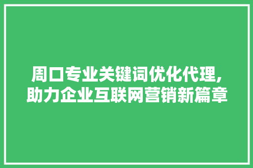 周口专业关键词优化代理,助力企业互联网营销新篇章