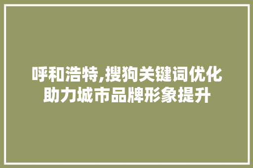 呼和浩特,搜狗关键词优化助力城市品牌形象提升 操作系统