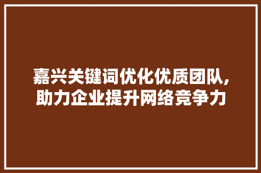嘉兴关键词优化优质团队,助力企业提升网络竞争力
