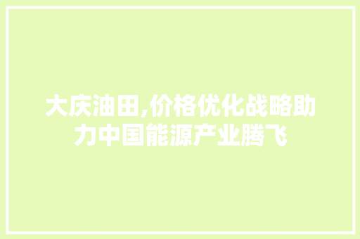 大庆油田,价格优化战略助力中国能源产业腾飞