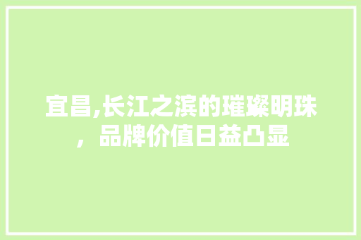 宜昌,长江之滨的璀璨明珠，品牌价值日益凸显
