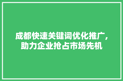 成都快速关键词优化推广,助力企业抢占市场先机