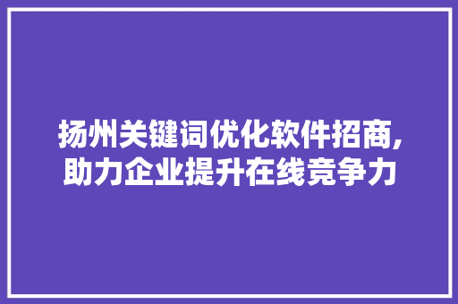 扬州关键词优化软件招商,助力企业提升在线竞争力 扬州关键词优化软件招商,助力企业提升在线竞争力