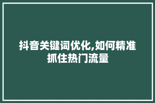 抖音关键词优化,如何精准抓住热门流量