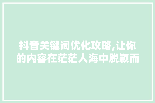 抖音关键词优化攻略,让你的内容在茫茫人海中脱颖而出