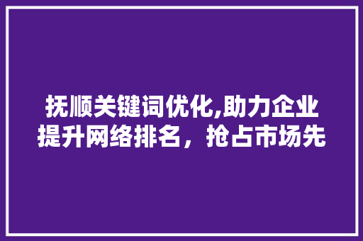 抚顺关键词优化,助力企业提升网络排名，抢占市场先机
