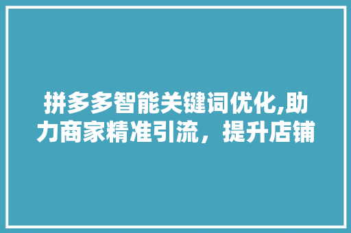 拼多多智能关键词优化,助力商家精准引流，提升店铺业绩