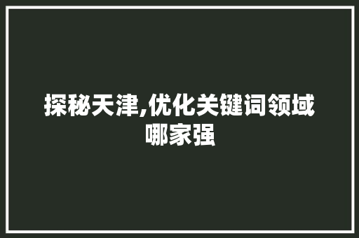 探秘天津,优化关键词领域哪家强
