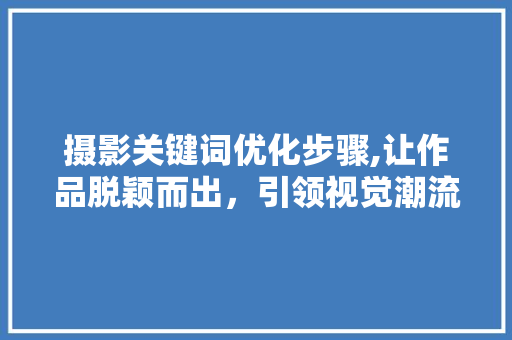 摄影关键词优化步骤,让作品脱颖而出,引领视觉潮流 摄影关键词优化步骤,让作品脱颖而出,引领视觉潮流