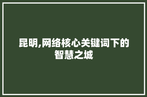 昆明,网络核心关键词下的智慧之城 昆明,网络核心关键词下的智慧之城
