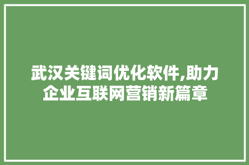 武汉关键词优化软件,助力企业互联网营销新篇章 武汉关键词优化软件,助力企业互联网营销新篇章