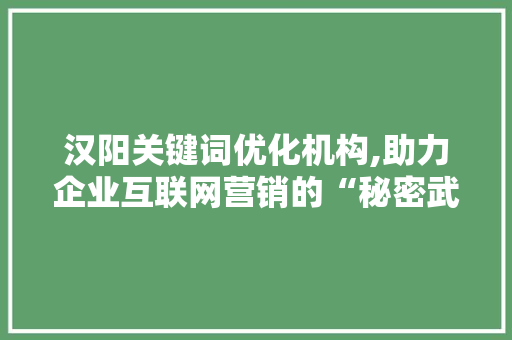 汉阳关键词优化机构,助力企业互联网营销的“秘密武器” 汉阳关键词优化机构,助力企业互联网营销的“秘密武器”