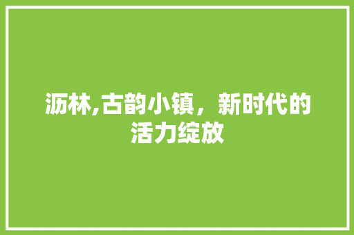 沥林,古韵小镇,新时代的活力绽放 沥林,古韵小镇,新时代的活力绽放
