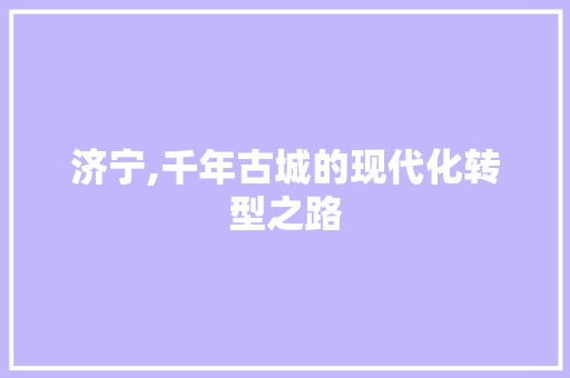 济宁,千年古城的现代化转型之路 济宁,千年古城的现代化转型之路