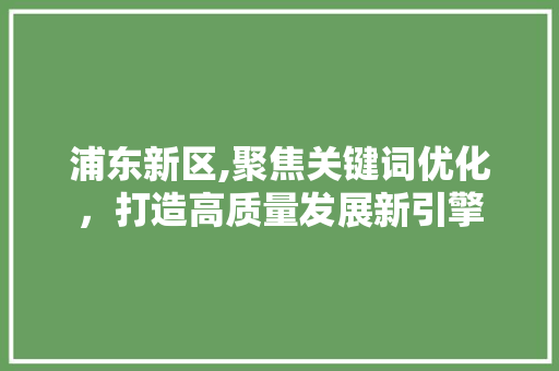浦东新区,聚焦关键词优化，打造高质量发展新引擎