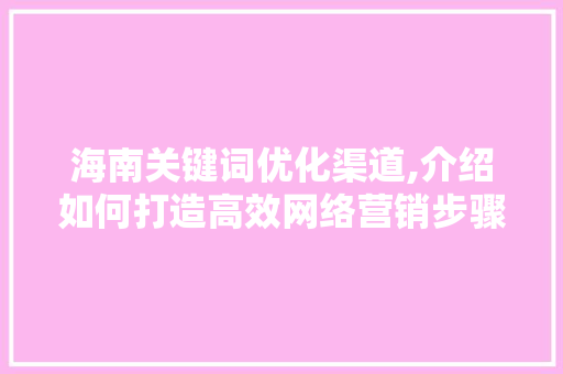 海南关键词优化渠道,介绍如何打造高效网络营销步骤