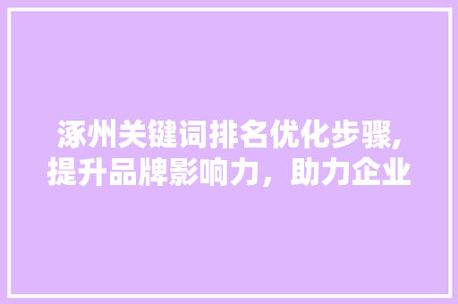 涿州关键词排名优化步骤,提升品牌影响力，助力企业腾飞