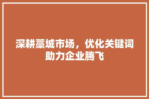 深耕藁城市场,优化关键词助力企业腾飞 深耕藁城市场,优化关键词助力企业腾飞