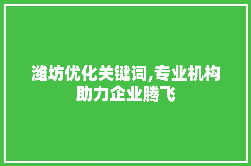 潍坊优化关键词,专业机构助力企业腾飞
