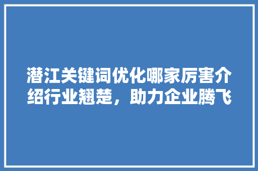 潜江关键词优化哪家厉害介绍行业翘楚，助力企业腾飞