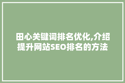 田心关键词排名优化,介绍提升网站SEO排名的方法 田心关键词排名优化,介绍提升网站SEO排名的方法