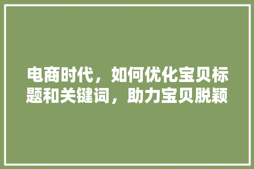 电商时代，如何优化宝贝标题和关键词，助力宝贝脱颖而出