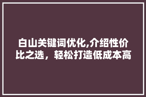 白山关键词优化,介绍性价比之选，轻松打造低成本高收益的SEO步骤