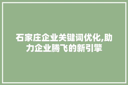 石家庄企业关键词优化,助力企业腾飞的新引擎