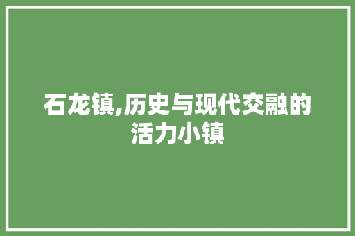 石龙镇,历史与现代交融的活力小镇