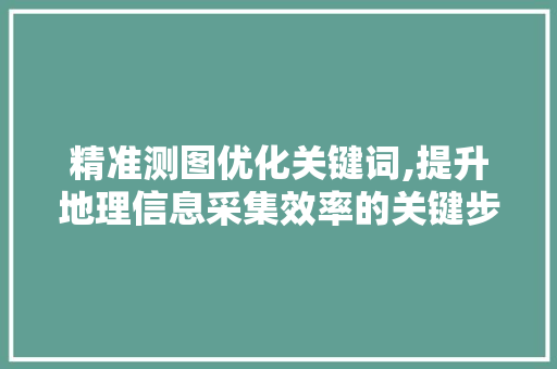 精准测图优化关键词,提升地理信息采集效率的关键步骤