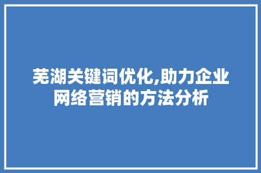 芜湖关键词优化,助力企业网络营销的方法分析