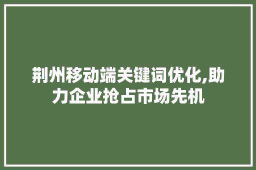 荆州移动端关键词优化,助力企业抢占市场先机